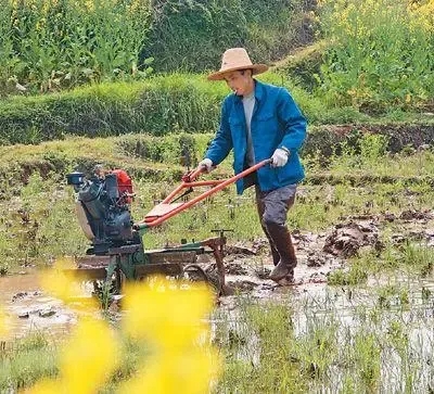 疫情防控的基本常識是什么？（疫情防控和春耕備耕兩不誤）